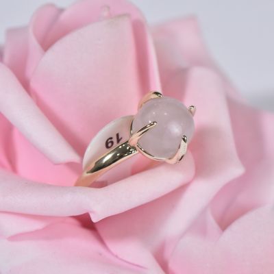صورة مصغرة 3